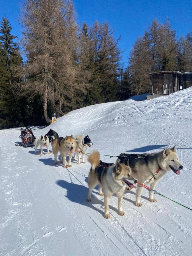 라 플라뉴 Plagne Bellecote - 5 Pers - Vue Pistes - Acces Piscine Chauffee 아파트 외부 사진